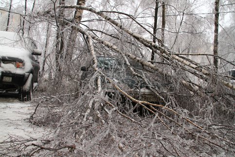 На пересечении 7-ой парковой и Нижней Первомайской упавшее дерево 