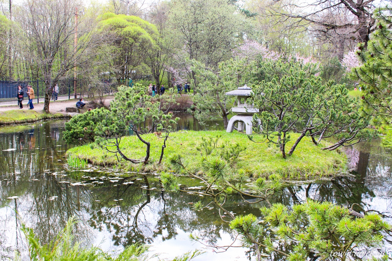 Японский сад 3