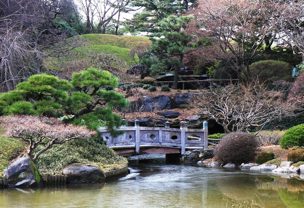 Японский сад 4