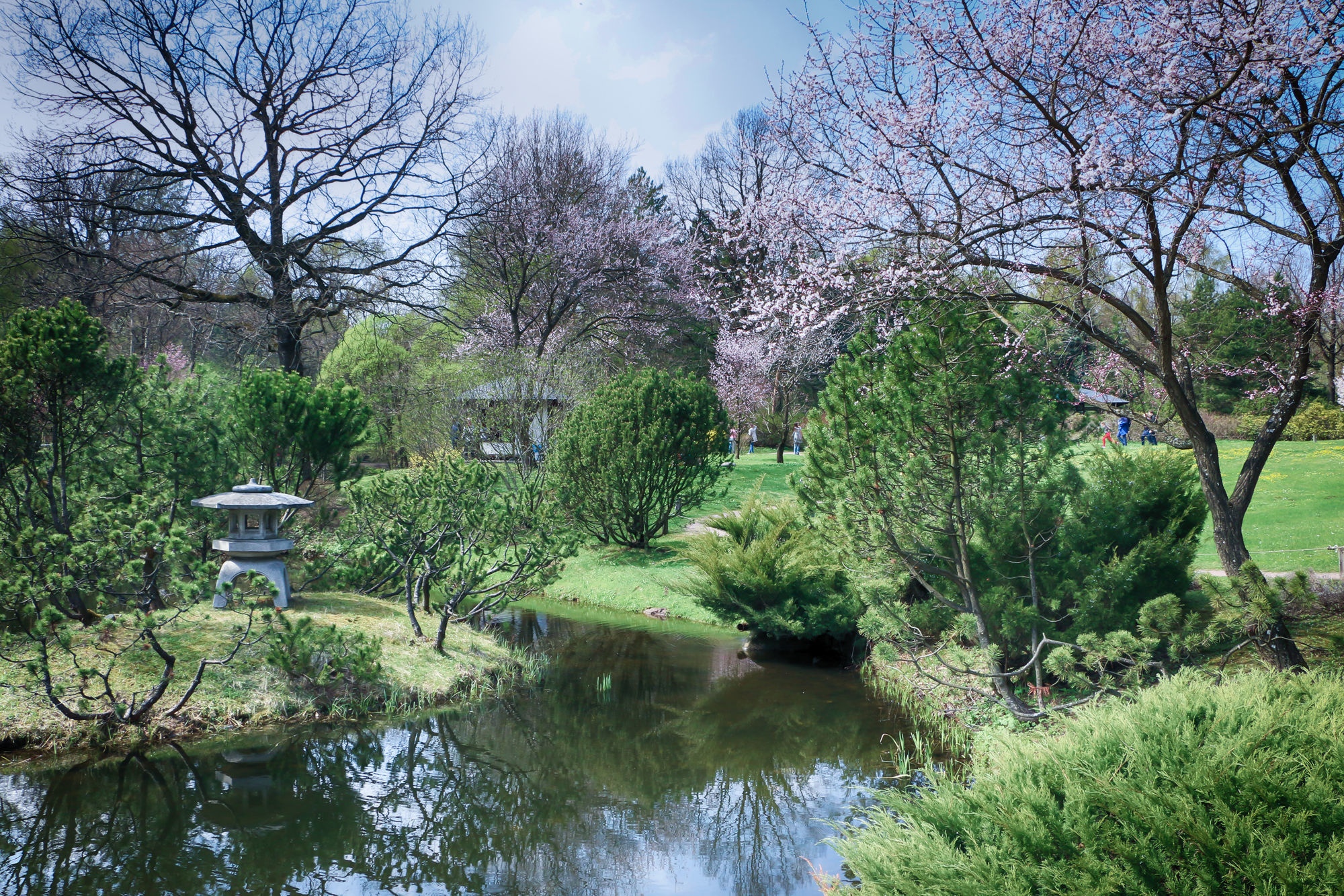Японский сад 2