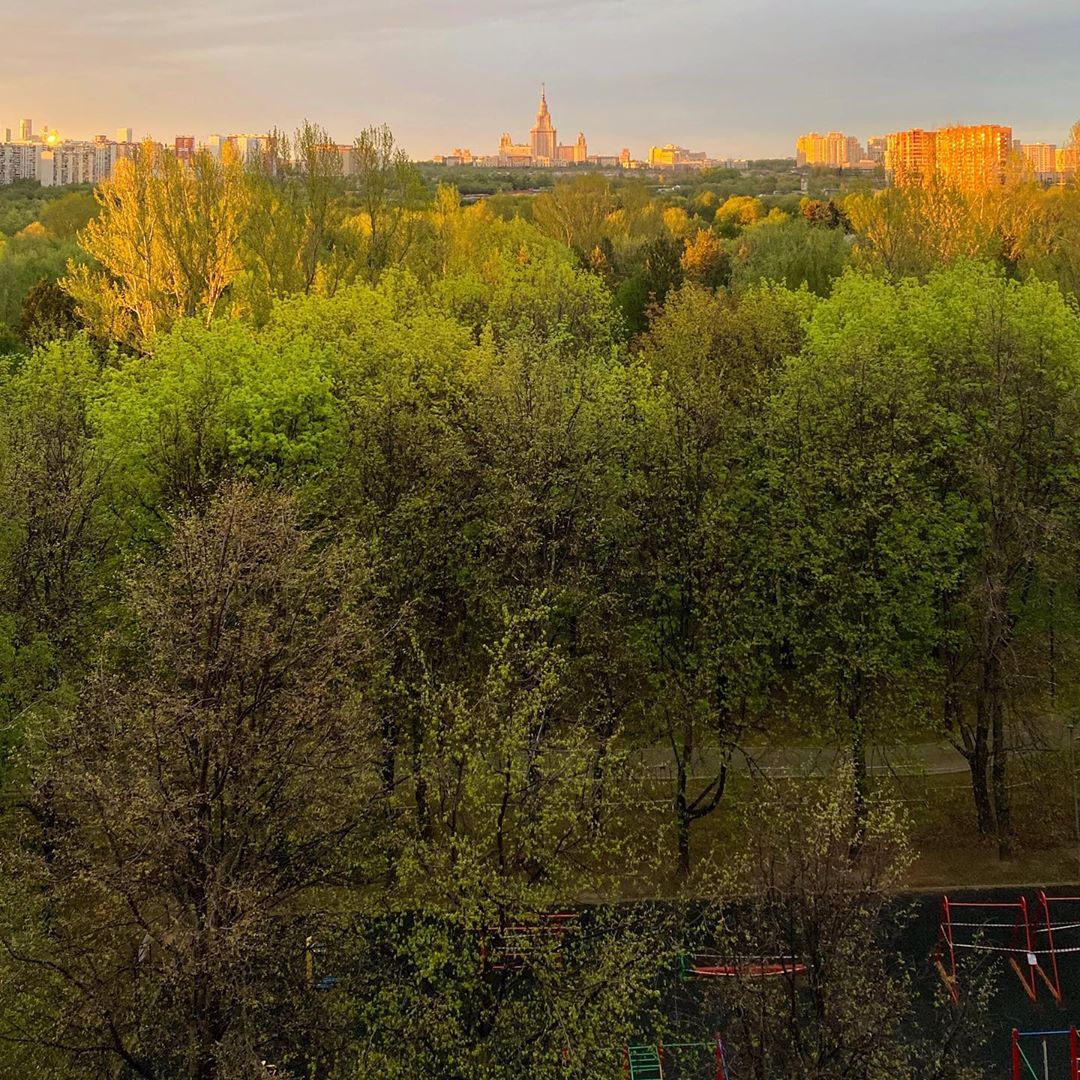 Парк 50 летия октября в москве